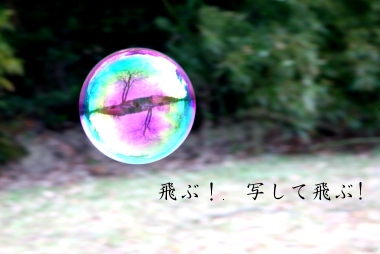 yށFԃV{