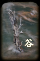 yށ^J